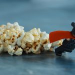 Mit Popcorn und Käse-Dip in fremde Welten